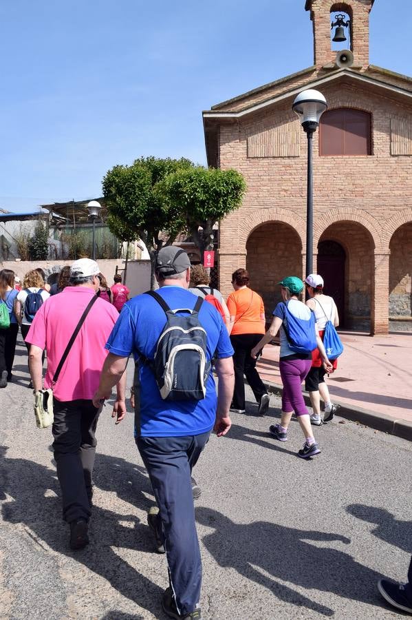 Cuarto y último Paseo Saludable de la 8ª edición al Mirador de los Viñedos