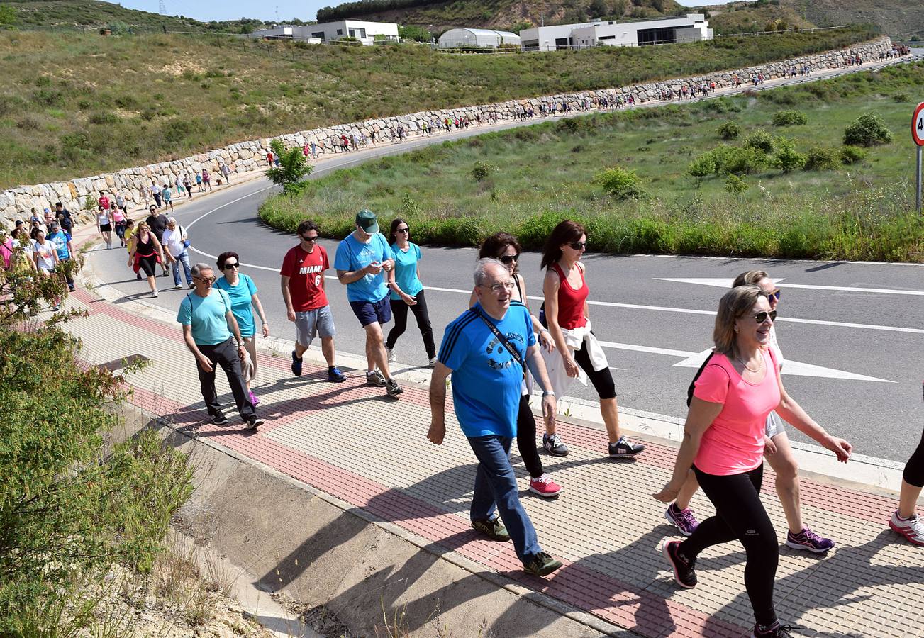 Cuarto y último Paseo Saludable de la 8ª edición al Mirador de los Viñedos