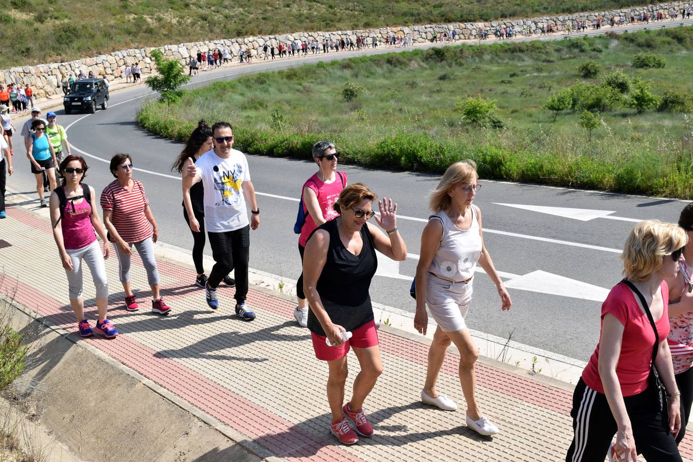 Cuarto y último Paseo Saludable de la 8ª edición al Mirador de los Viñedos