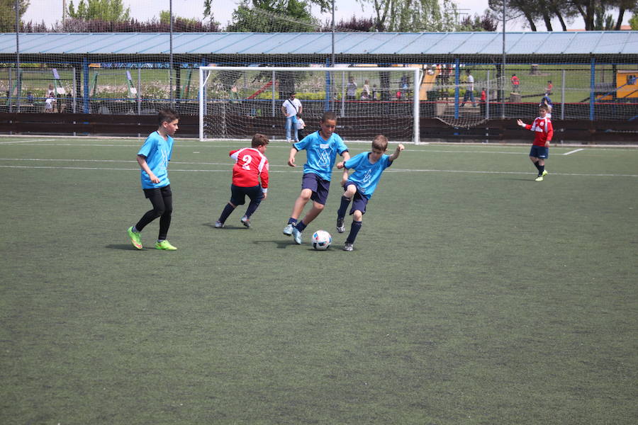 XXVI Torneo Escuela y XIX Torneo Cadete Ciudad de Alfaro