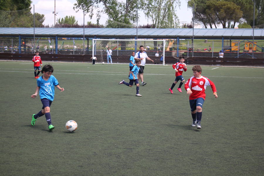 XXVI Torneo Escuela y XIX Torneo Cadete Ciudad de Alfaro