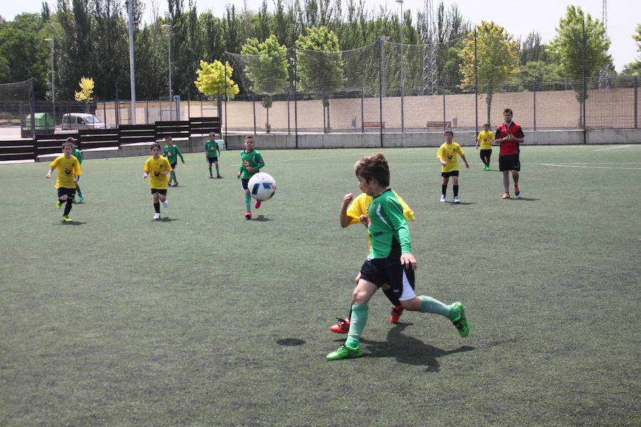 XXVI Torneo Escuela y XIX Torneo Cadete Ciudad de Alfaro