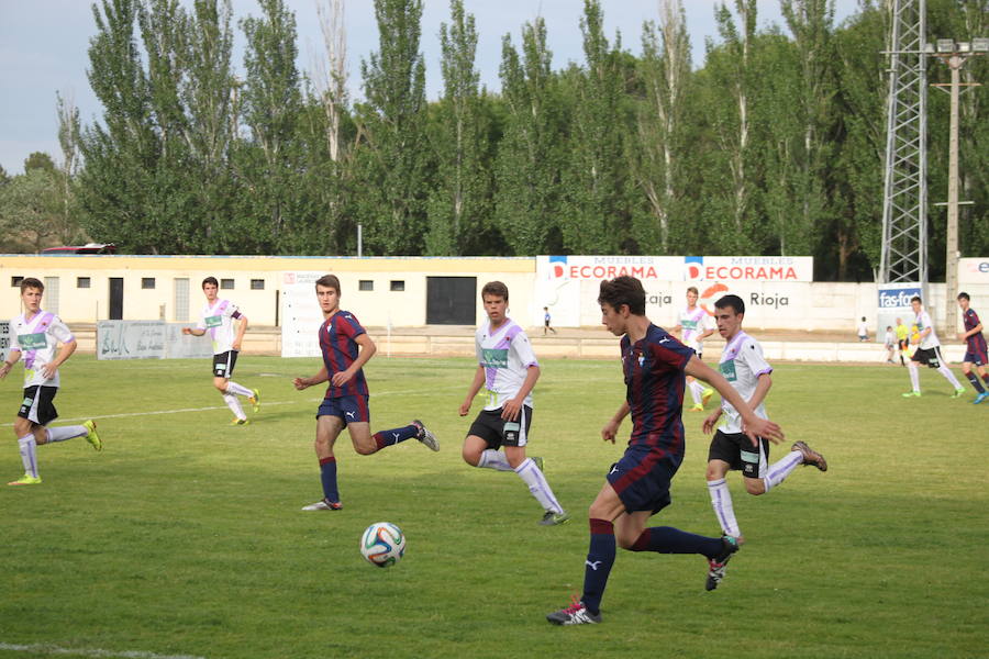 XXVI Torneo Escuela y XIX Torneo Cadete Ciudad de Alfaro