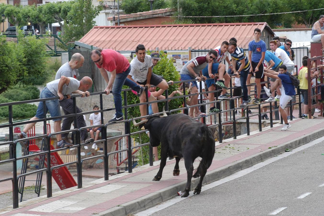 Cervera celebra el día de La Rioja