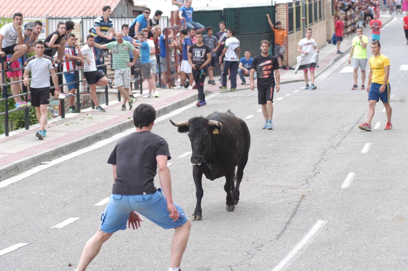 Cervera celebra el día de La Rioja