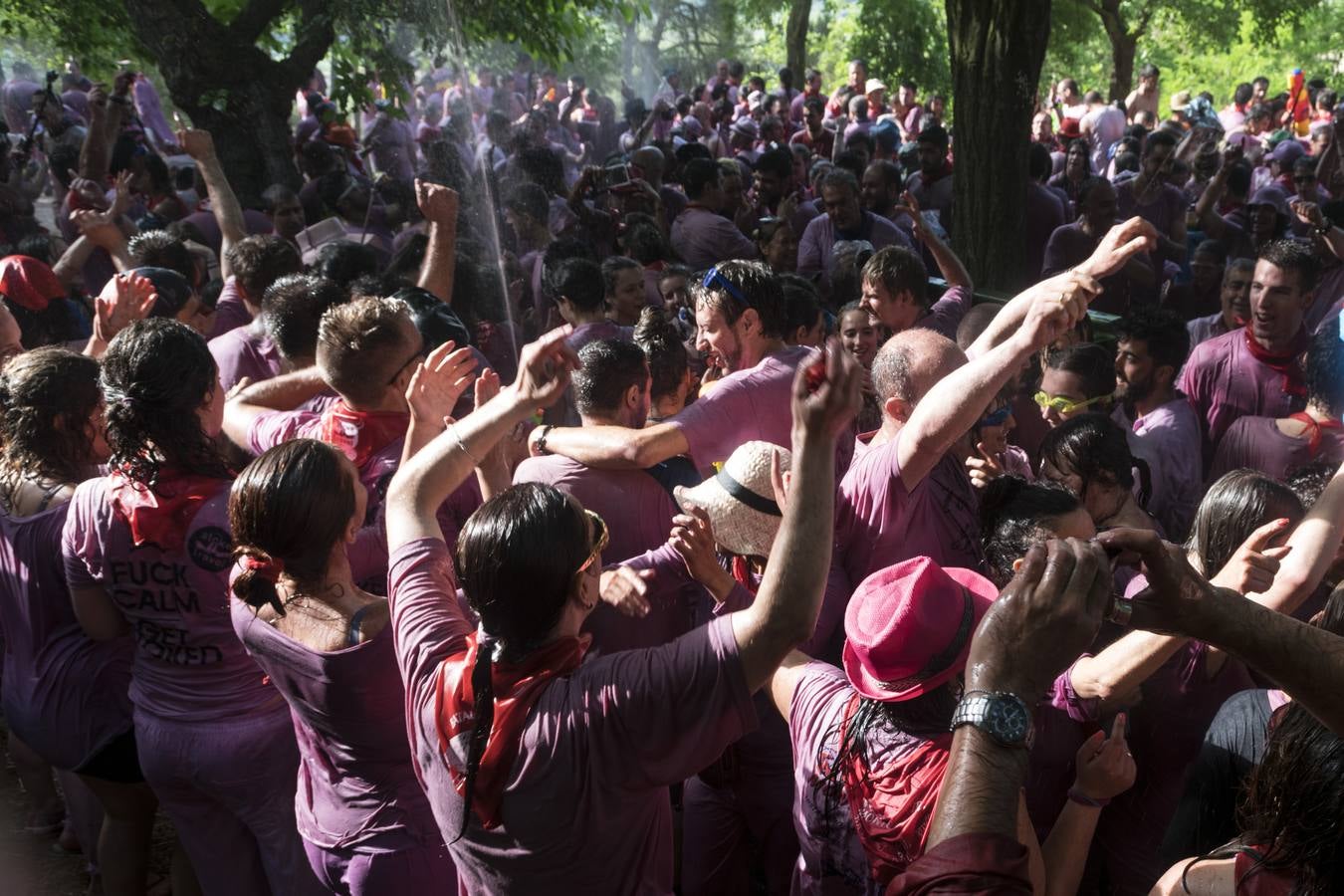 Momentos de la Batalla de Vino de Haro