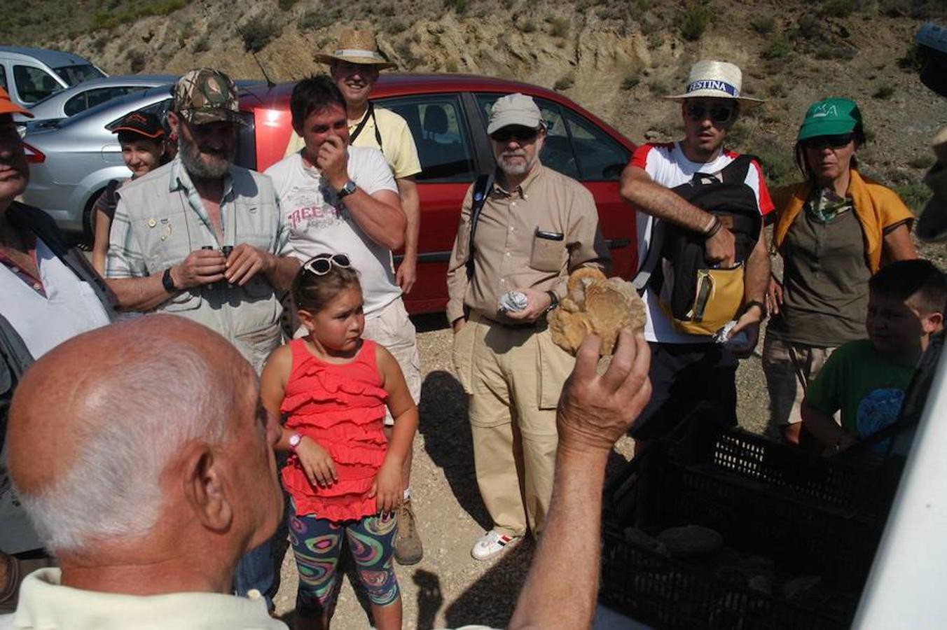 Jornada paleontológica en Cornago