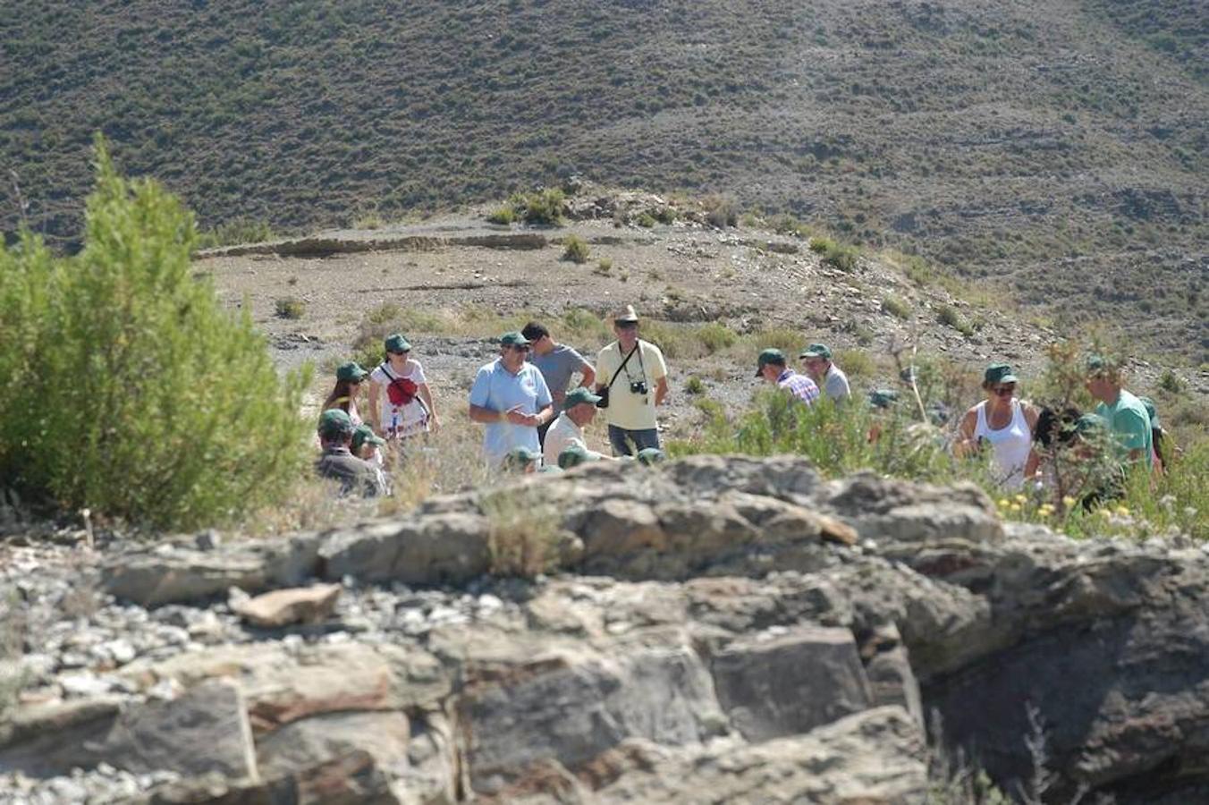 Jornada paleontológica en Cornago