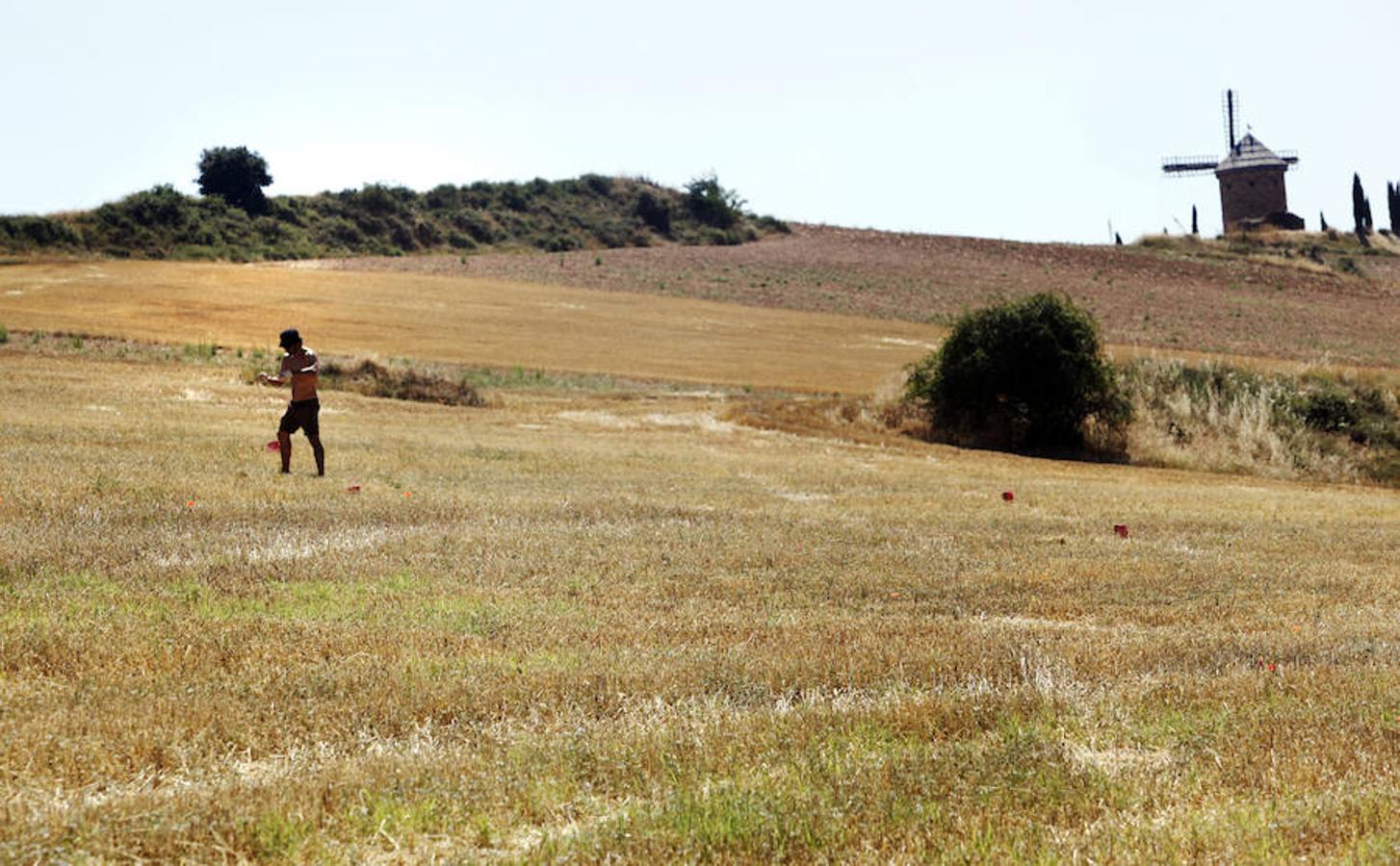 Arte en la tierra