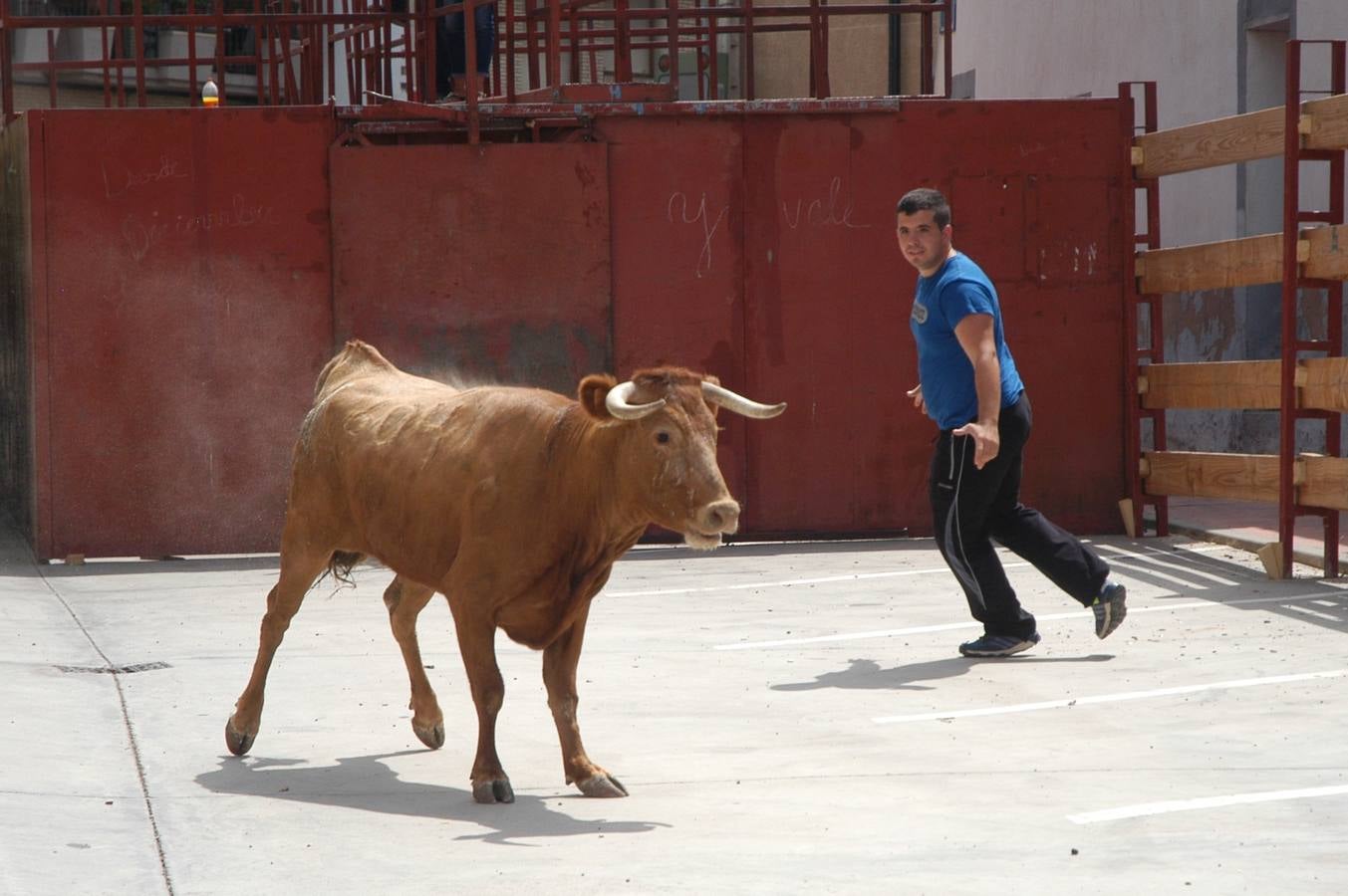 Encierro en Valverde