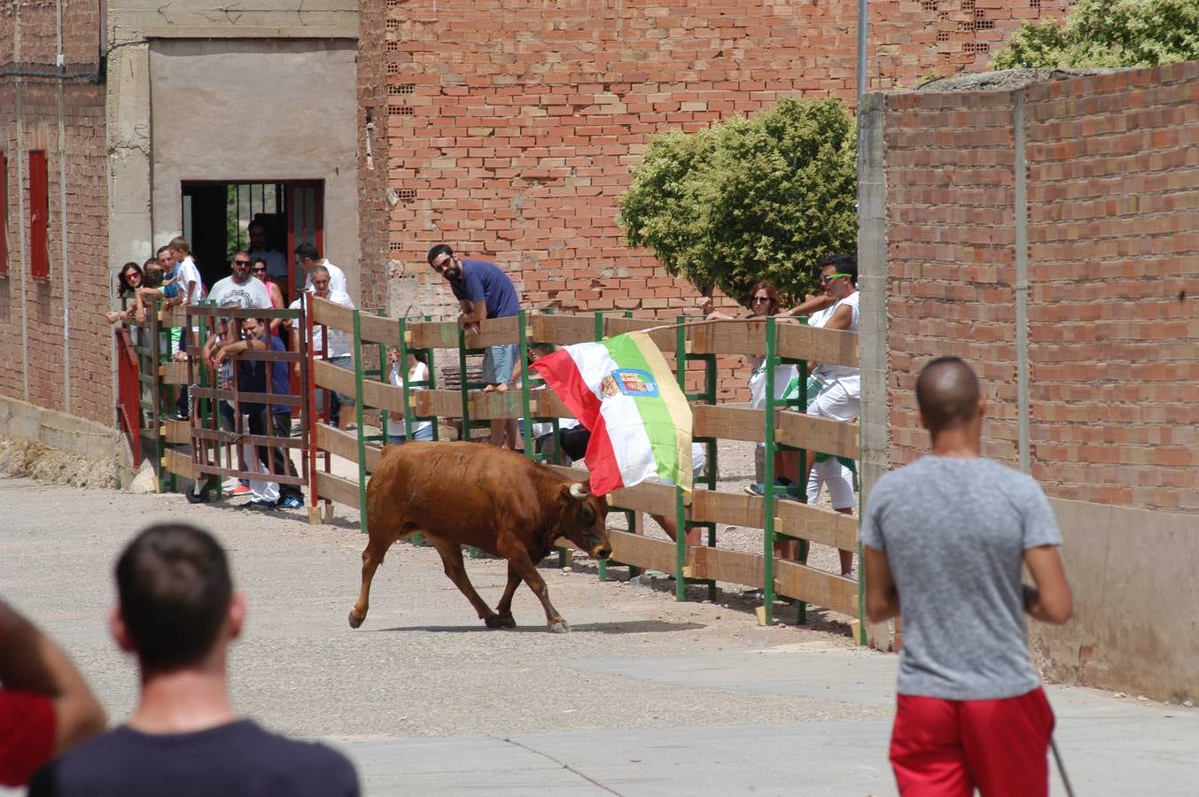 Encierro en Valverde