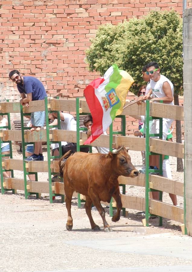 Encierro en Valverde