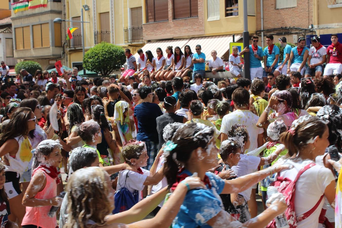 Rincón de Soto lanza el cohete