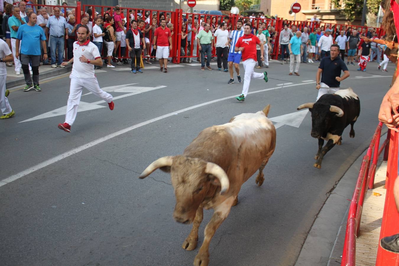 Día grande en Alfaro