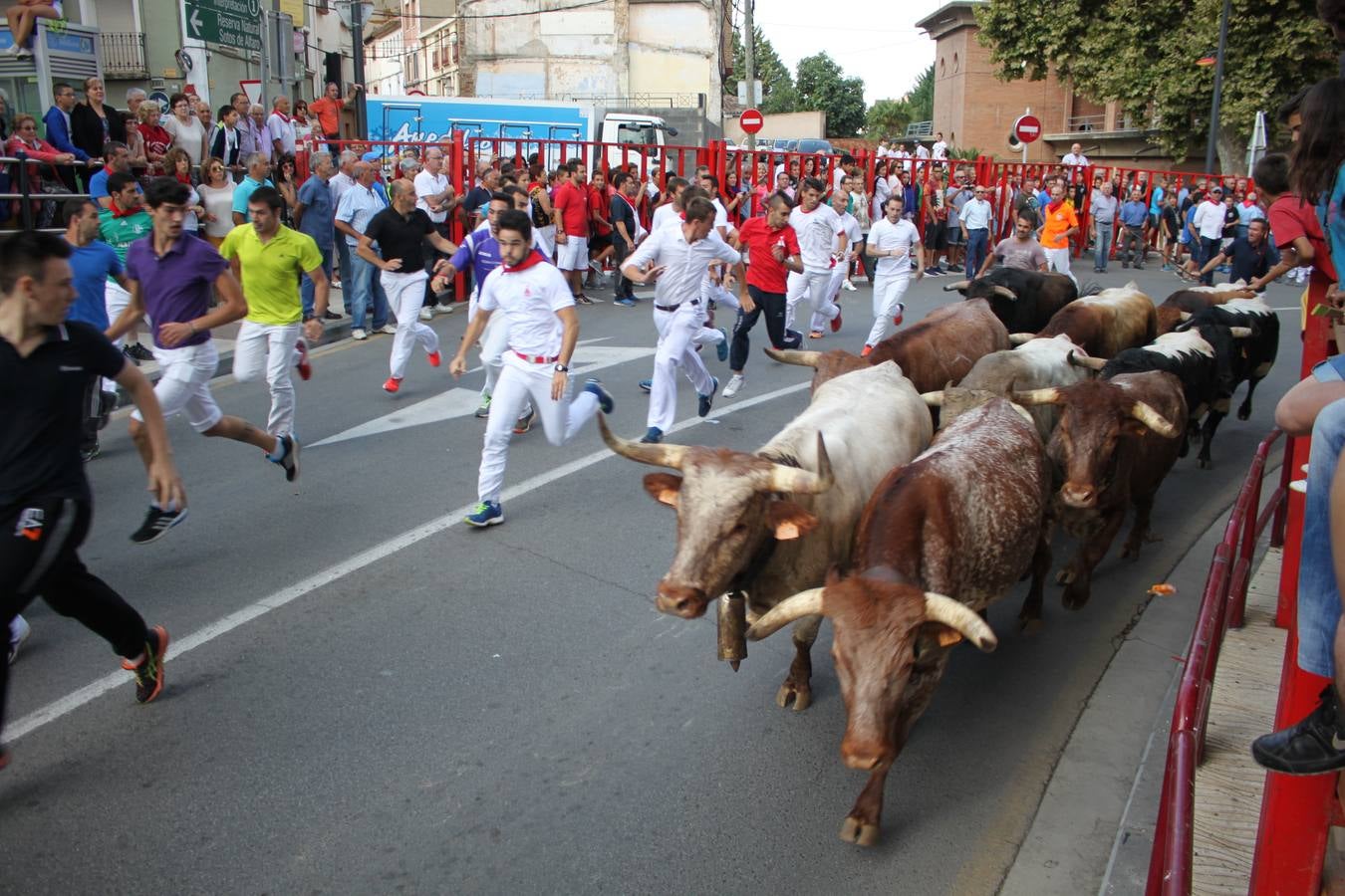 Día grande en Alfaro