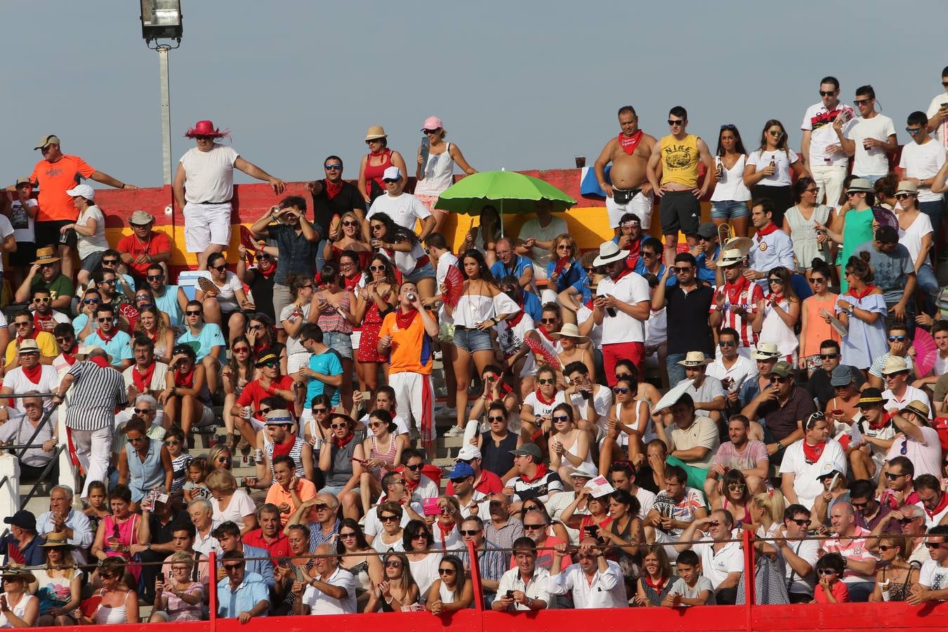 Gran tarde de toros en Alfaro