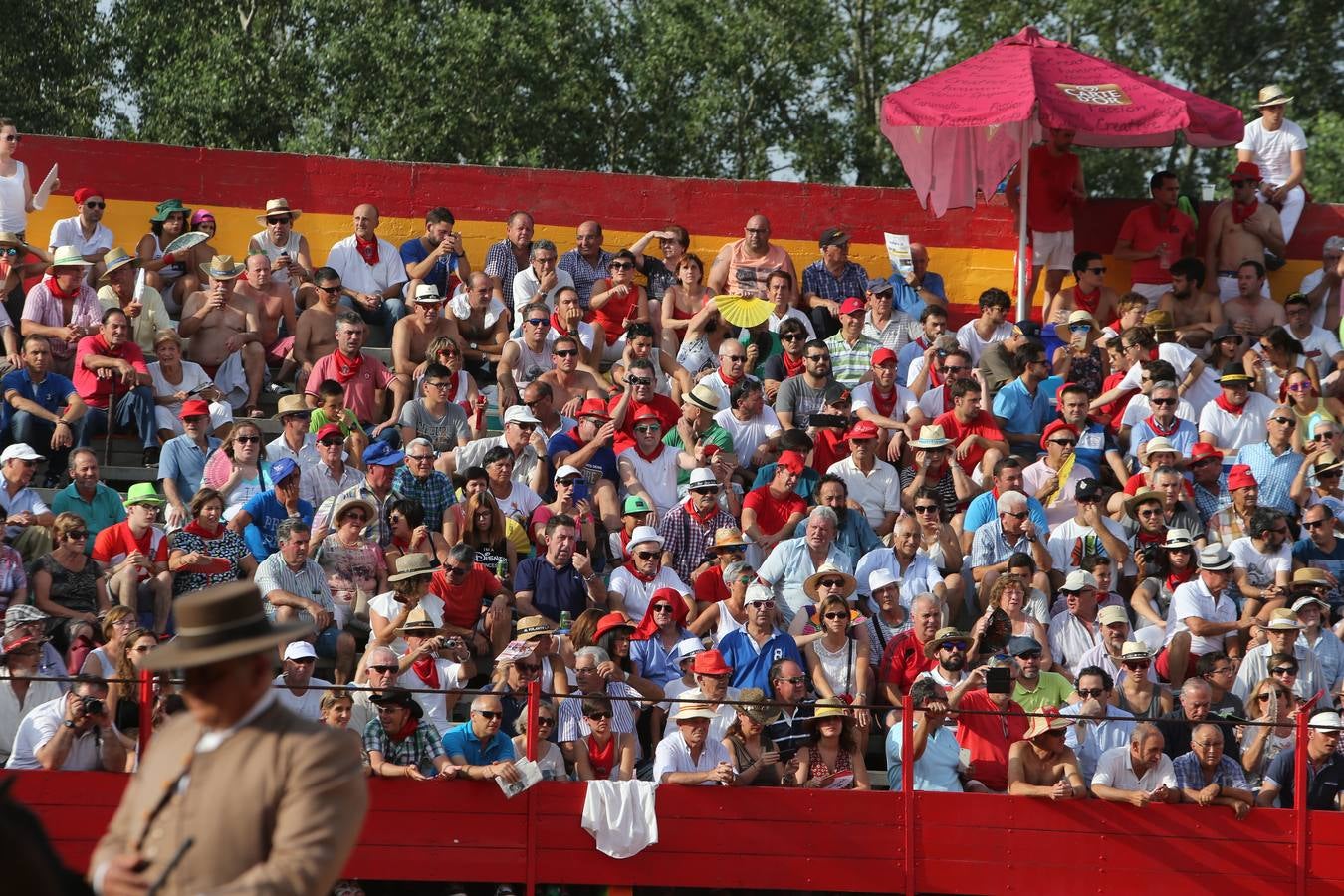 Gran tarde de toros en Alfaro