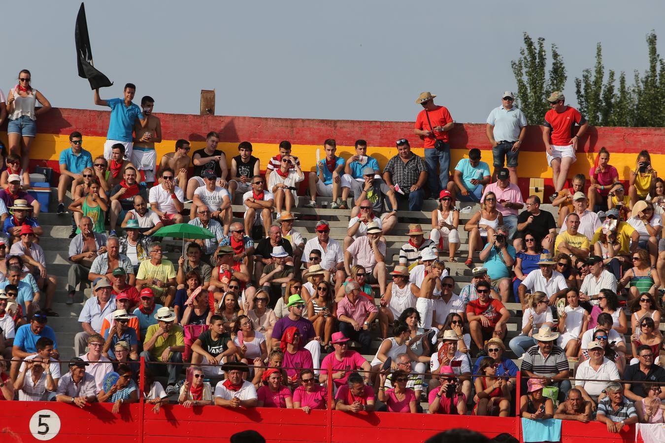 Gran tarde de toros en Alfaro