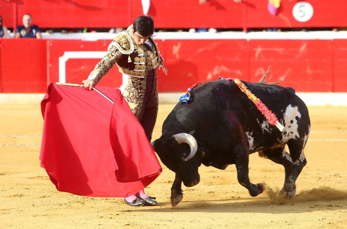 Gran tarde de toros en Alfaro