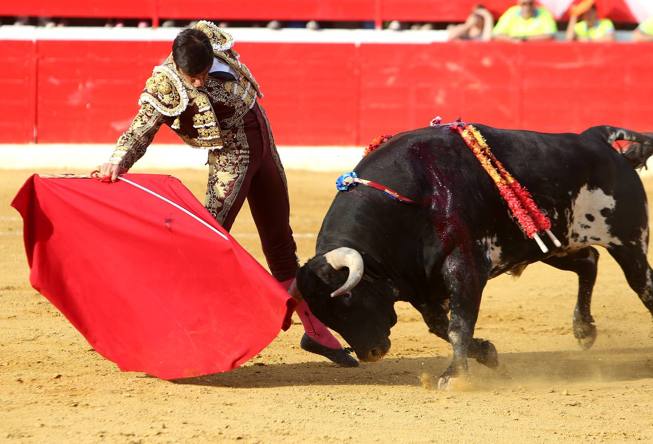 Gran tarde de toros en Alfaro