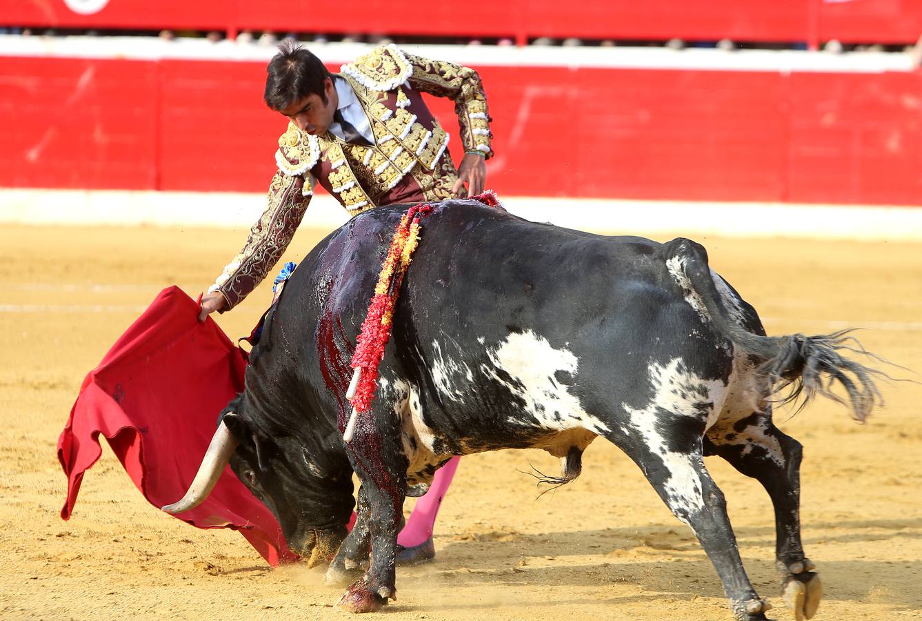 Gran tarde de toros en Alfaro