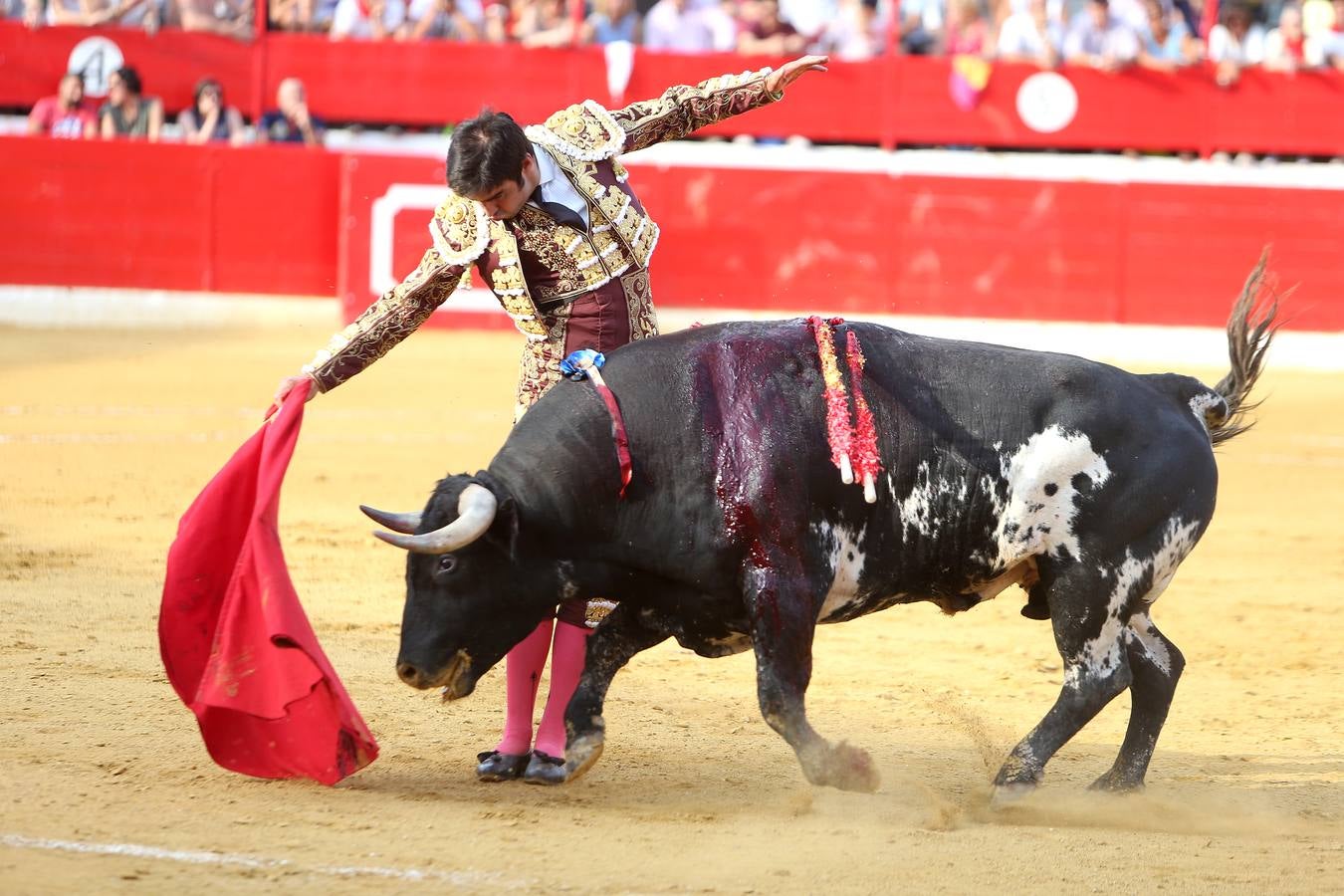 Gran tarde de toros en Alfaro