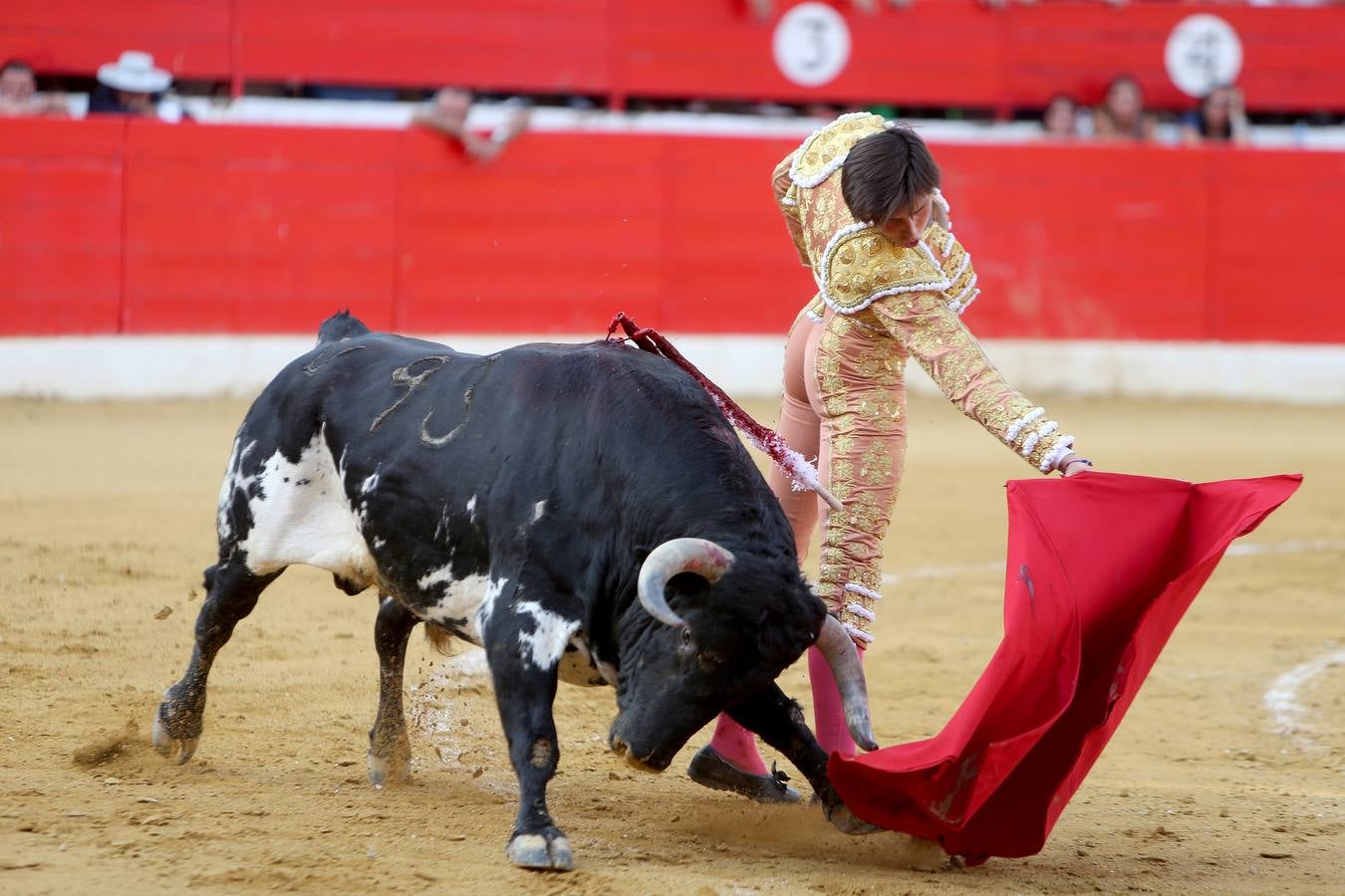 Gran tarde de toros en Alfaro