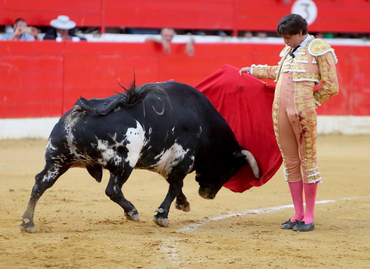 Gran tarde de toros en Alfaro