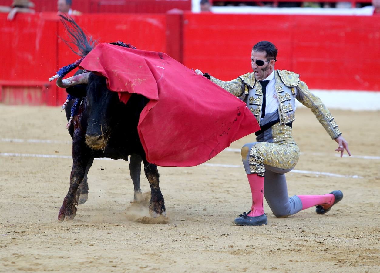 Gran tarde de toros en Alfaro