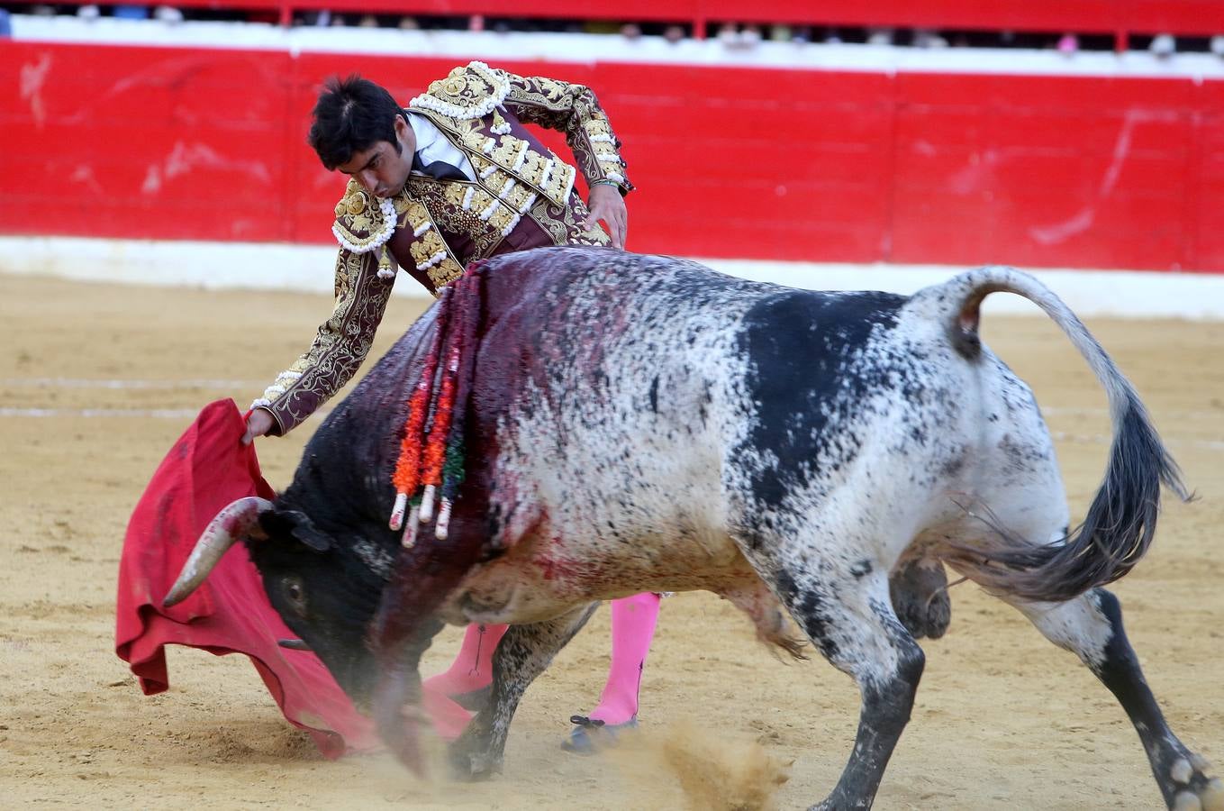 Gran tarde de toros en Alfaro