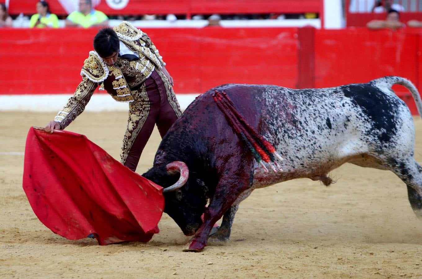 Gran tarde de toros en Alfaro