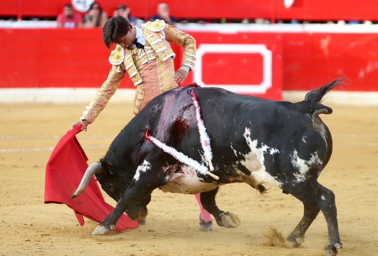 Gran tarde de toros en Alfaro