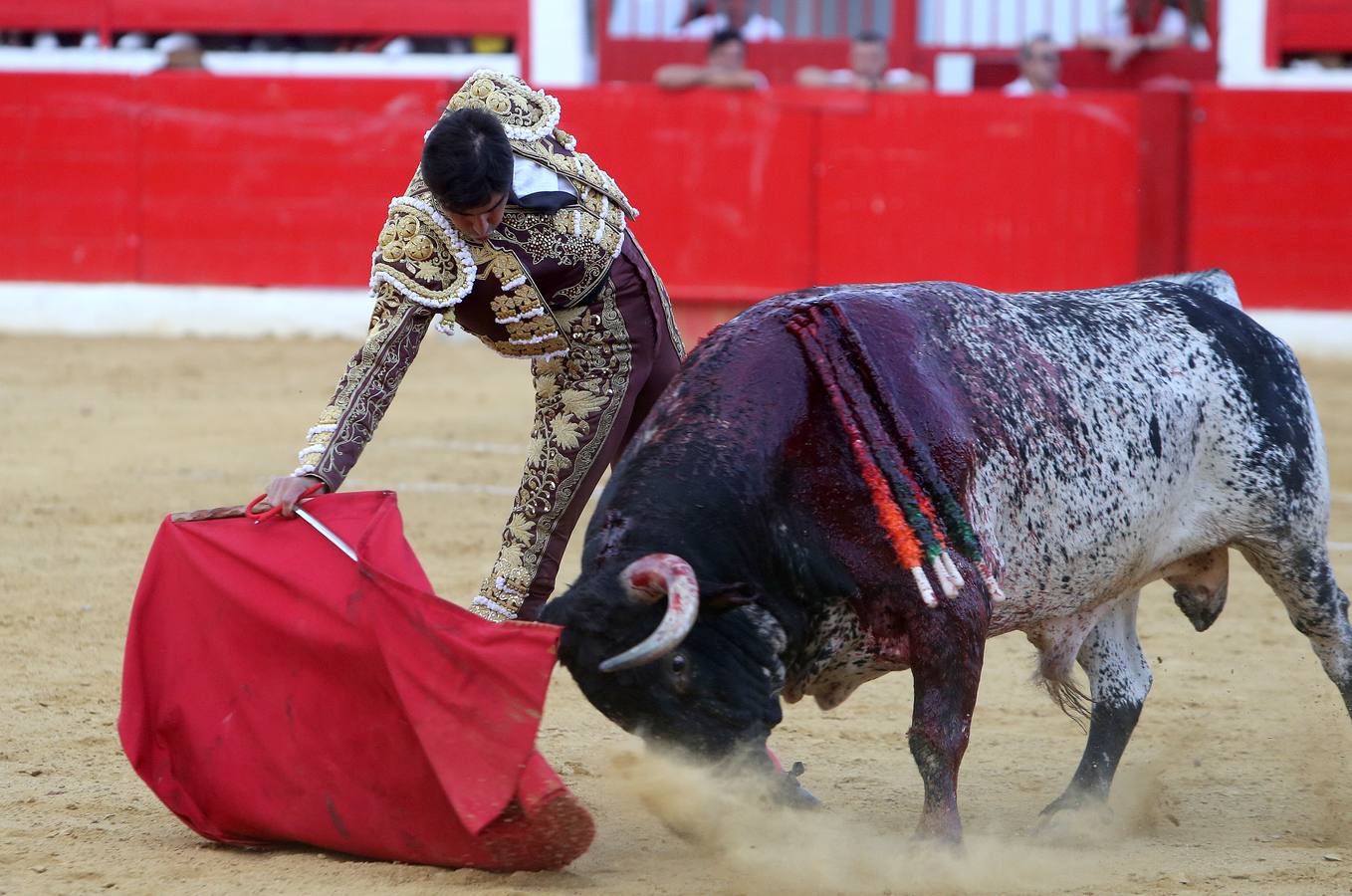 Gran tarde de toros en Alfaro