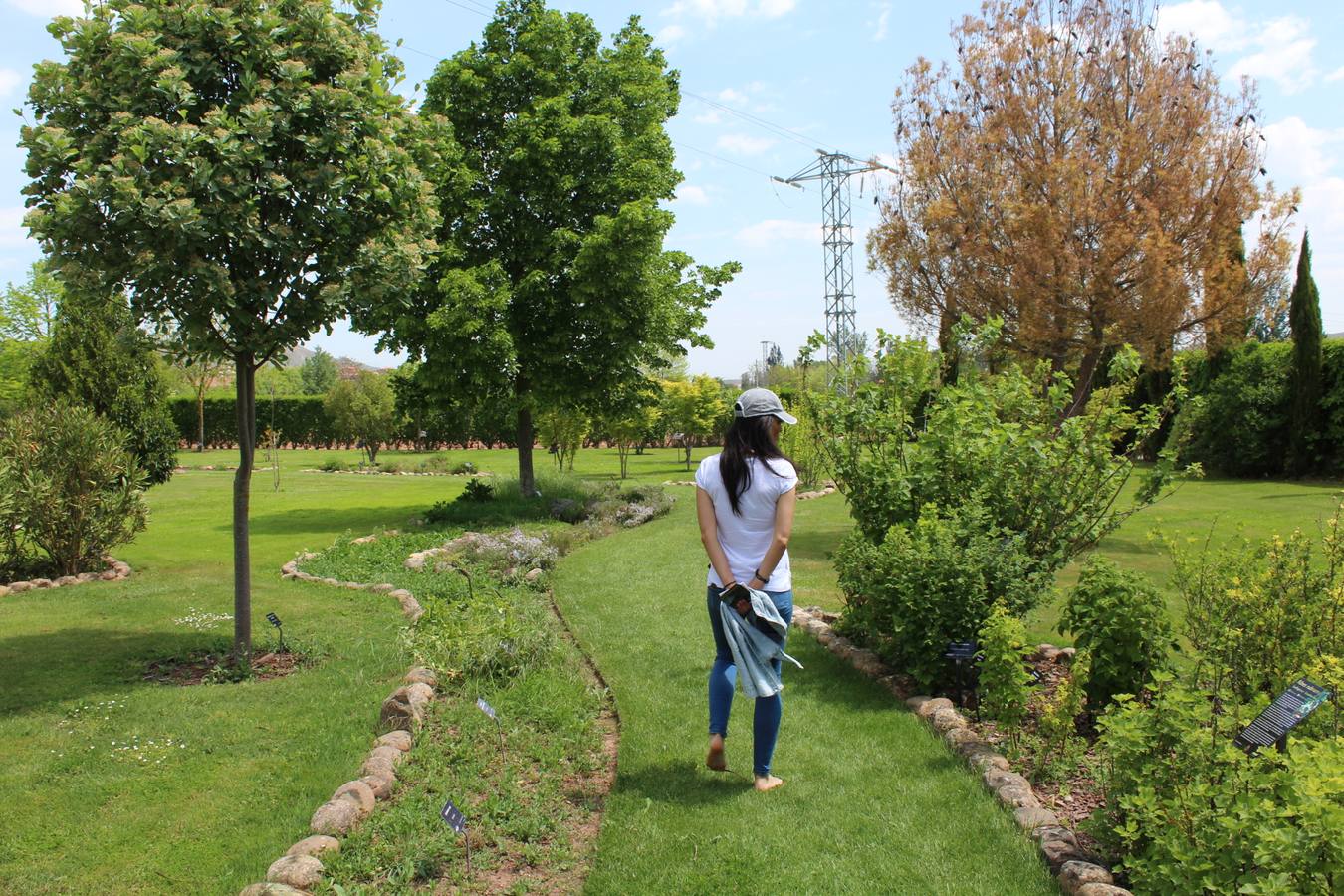 Delicias en La Rioja