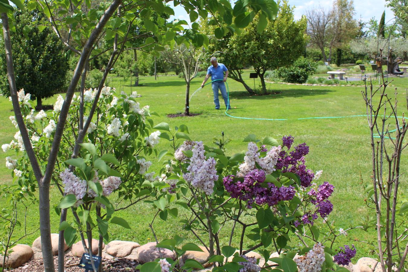 Delicias en La Rioja