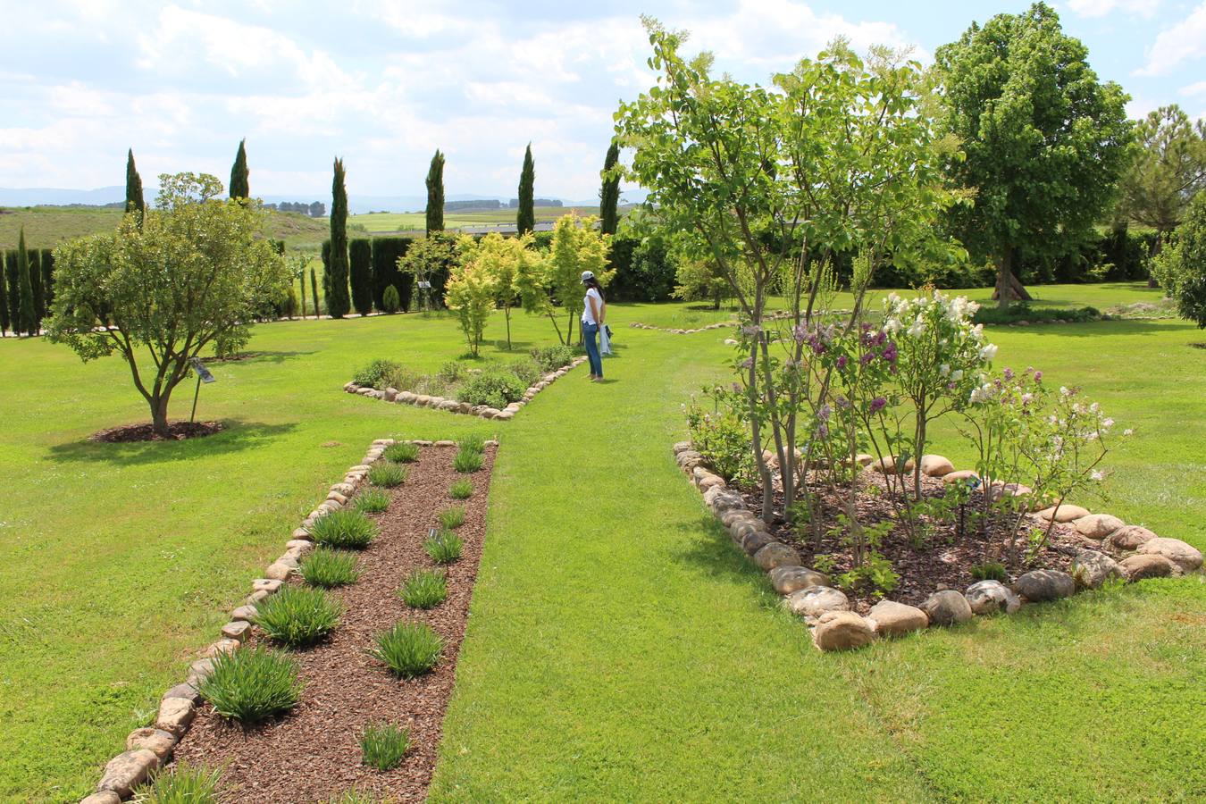 Delicias en La Rioja