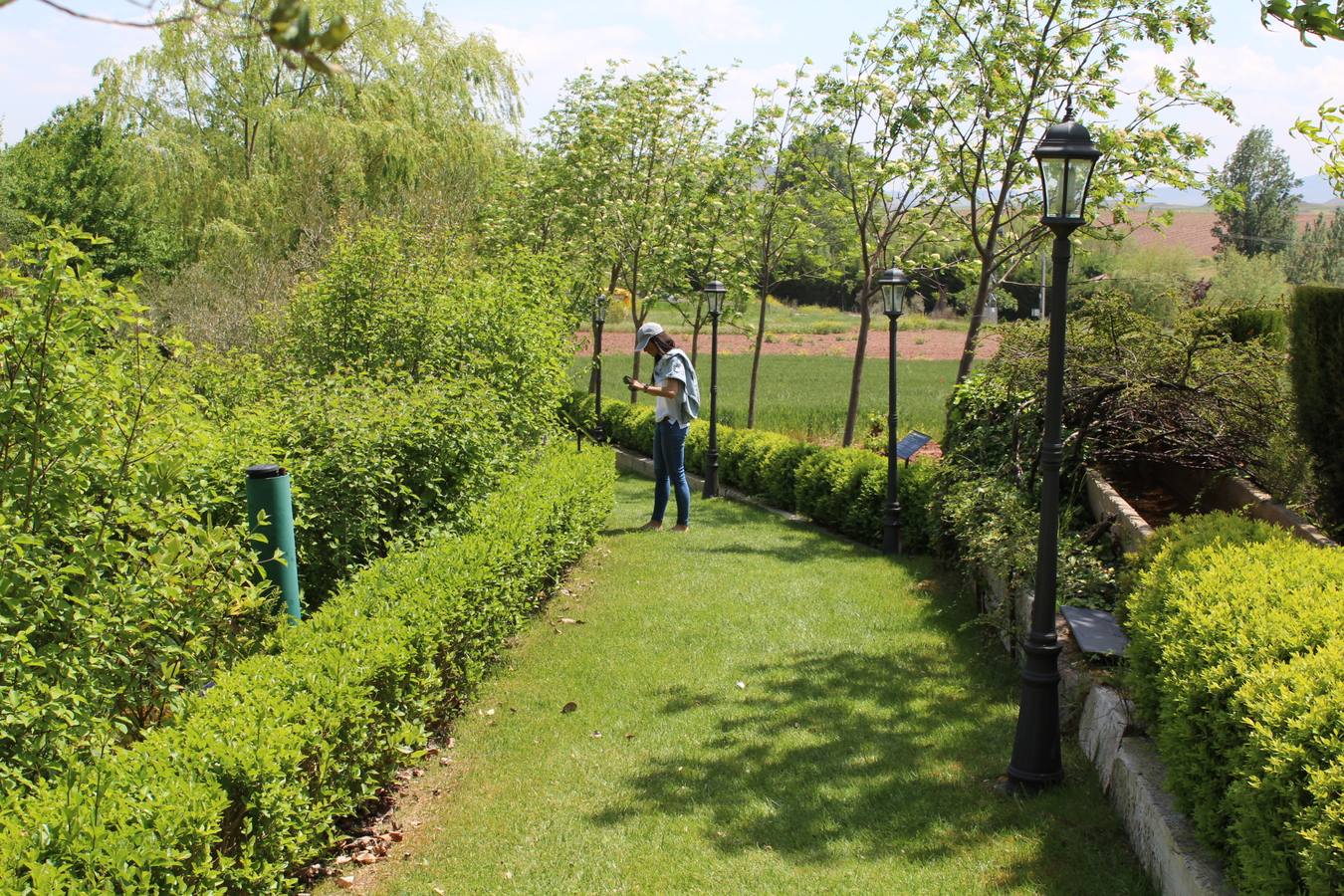 Delicias en La Rioja