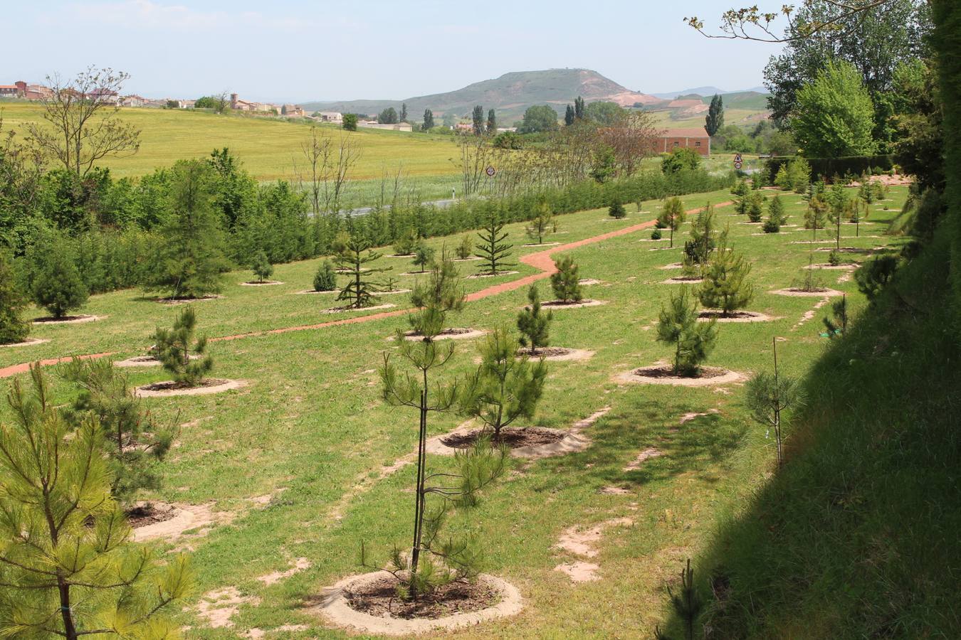 Delicias en La Rioja
