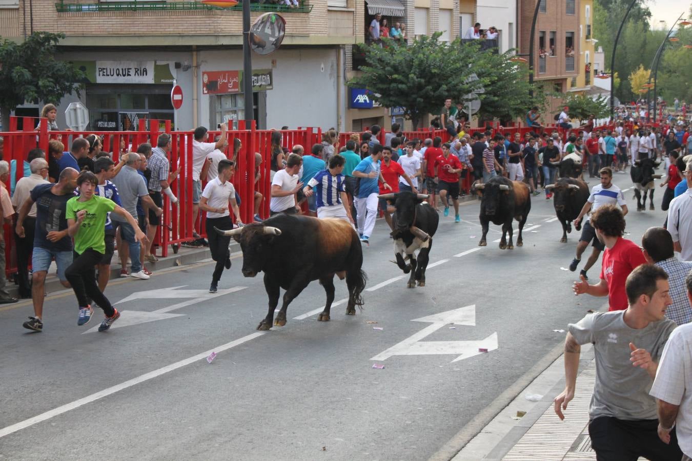 Alfaro se desanuda el pañuelo