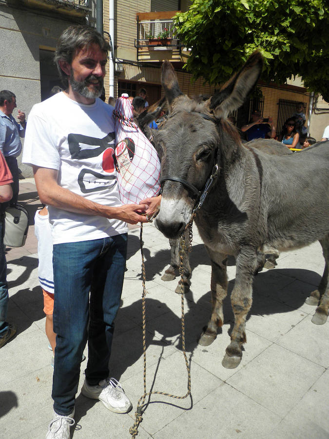 Tricio celebra su tradicional carrera de burros