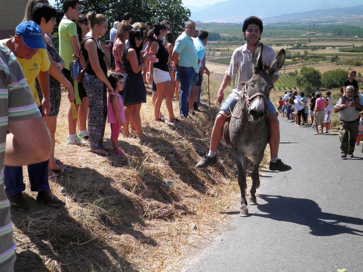 Tricio celebra su tradicional carrera de burros