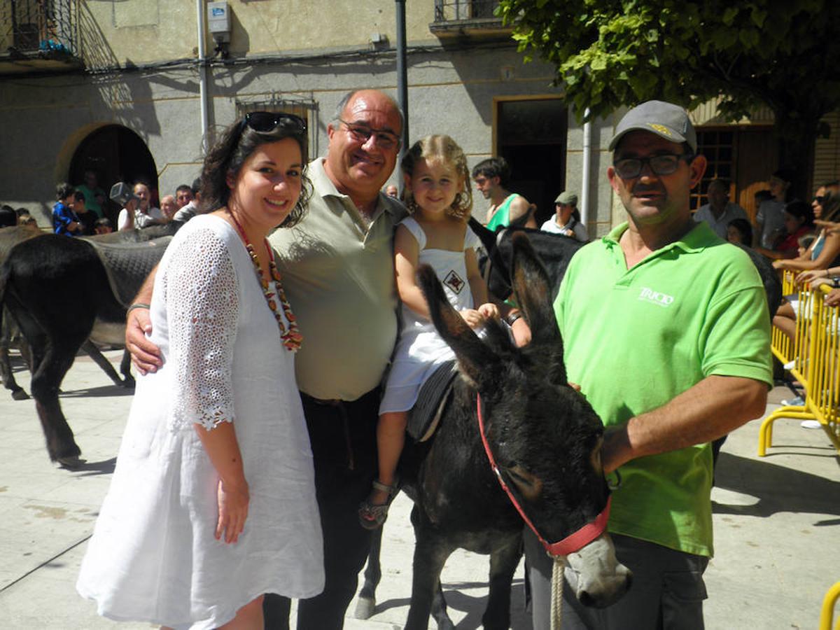 Tricio celebra su tradicional carrera de burros