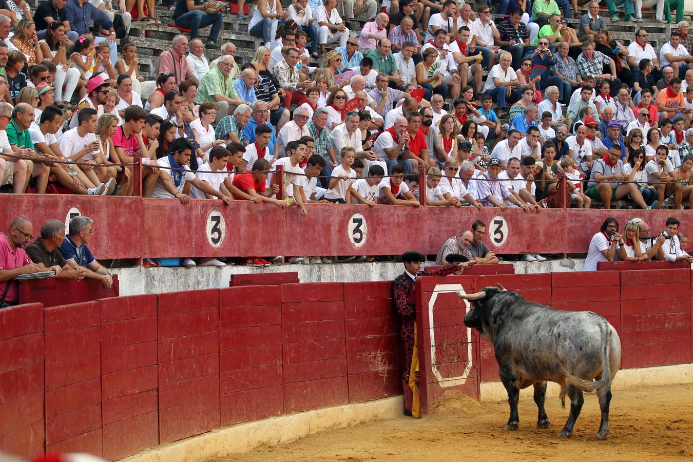 Toros en las fiestas de Calahorra