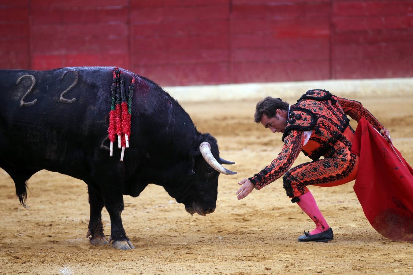 Toros en las fiestas de Calahorra