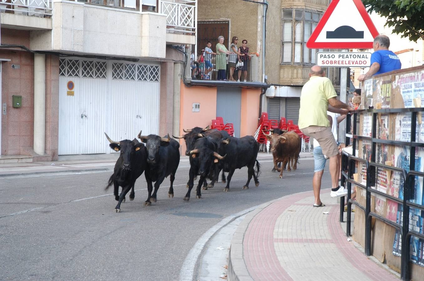 Cervera celebra la bajada de San Gil