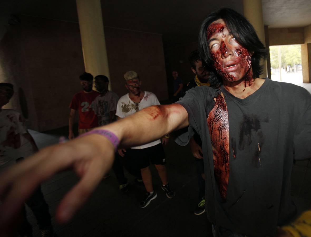 Comienza el juego Survival Zombie