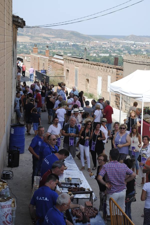 Las bodegas de Alberite abren sus puertas