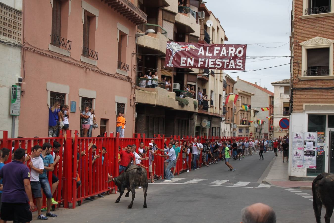 Día grande por la virgen del Burgo en Alfaro