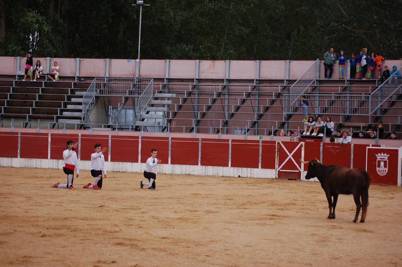 Nájera en fiestas