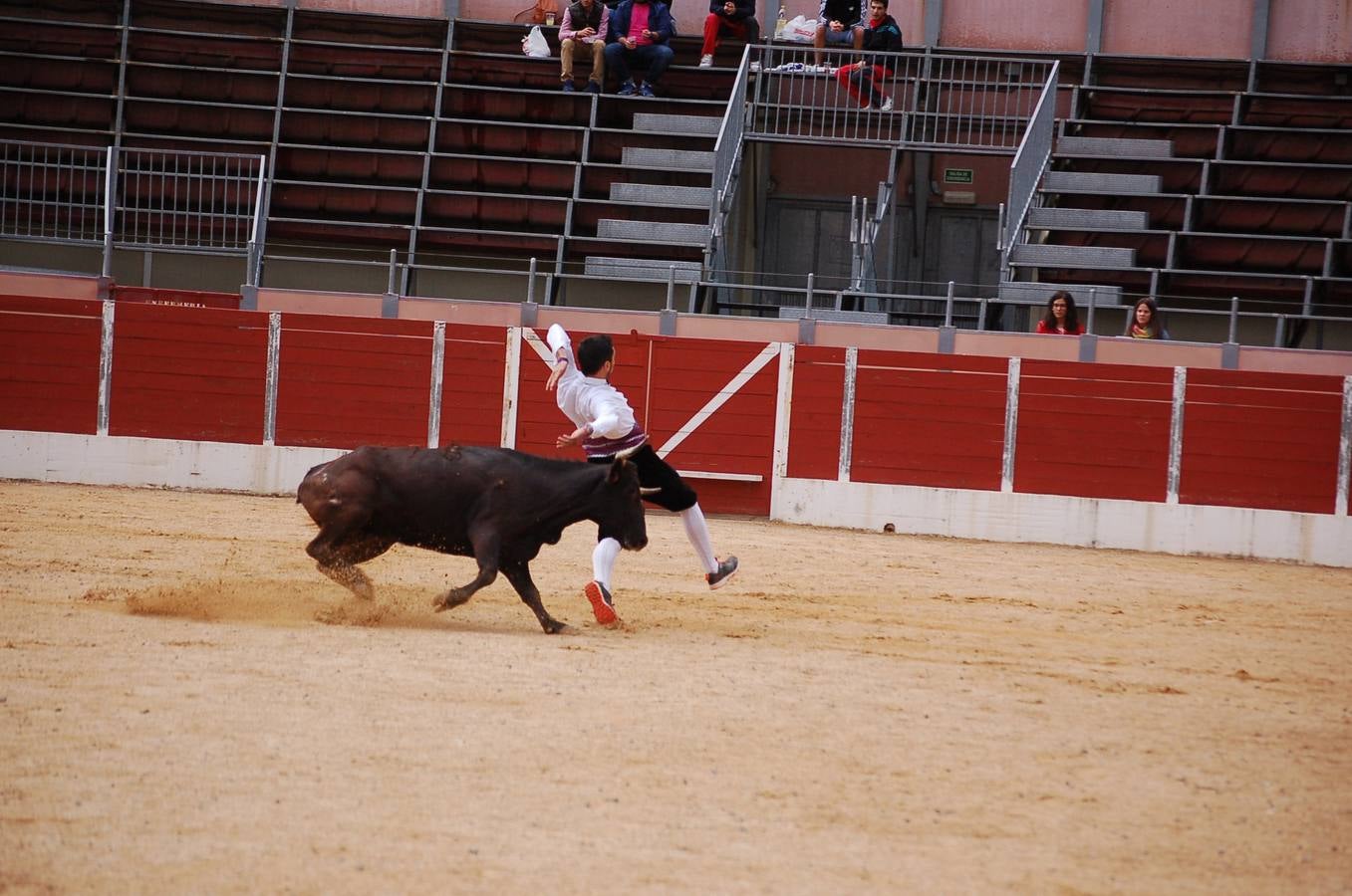 Nájera en fiestas